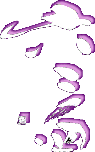 ZOlS 